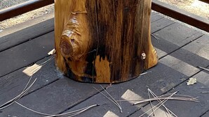 Una escultura de oso de madera sobre un banco.
