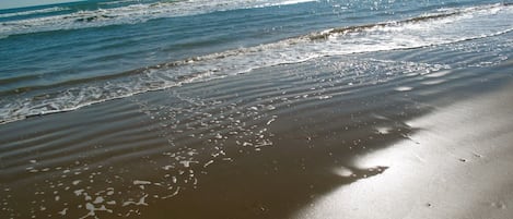 Beach nearby, sun-loungers