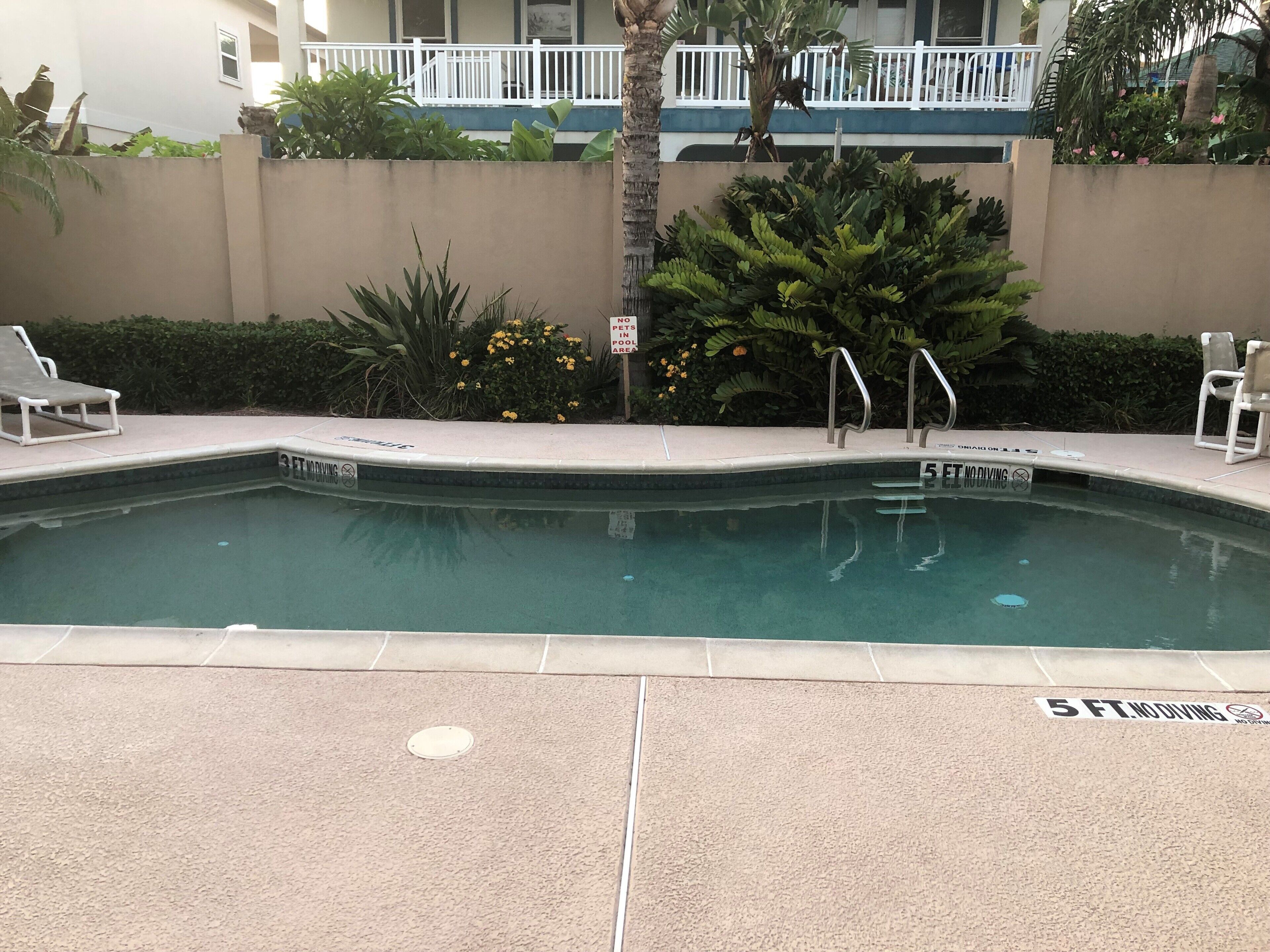 A swimming pool with a 5 ft no diving sign, lounge chairs, and a sign prohibiting pets.