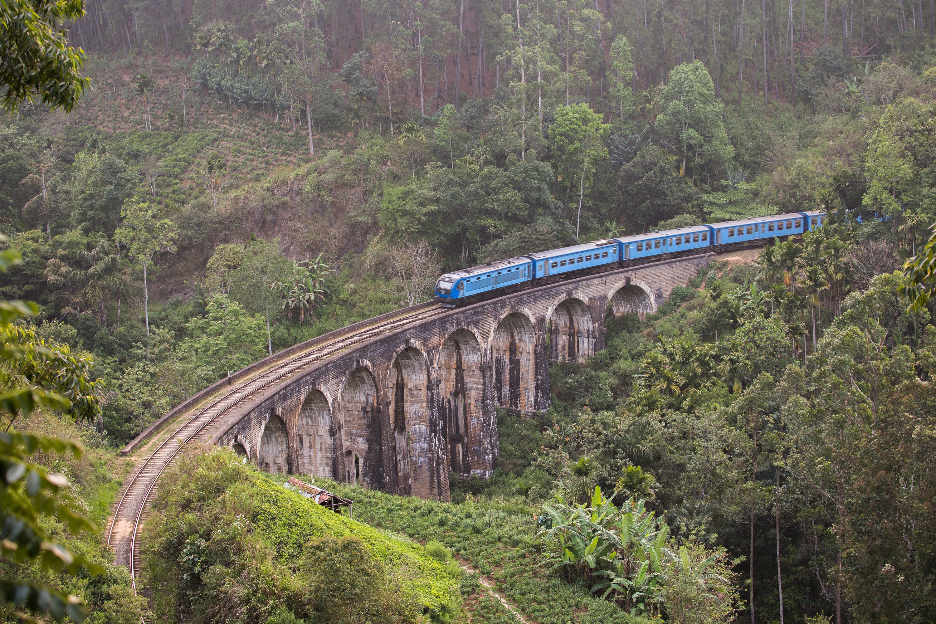A train traveling over a stone bridge surrounded by lush greenery.
