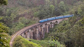 A train traveling over a stone bridge surrounded by lush greenery.