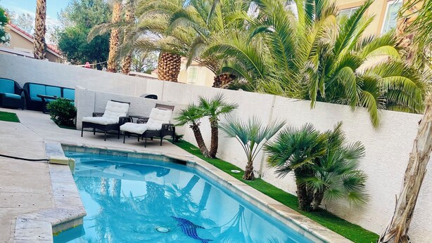 A swimming pool with a stone border, surrounded by palm trees and a white wall.