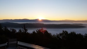 Vista desde la propiedad