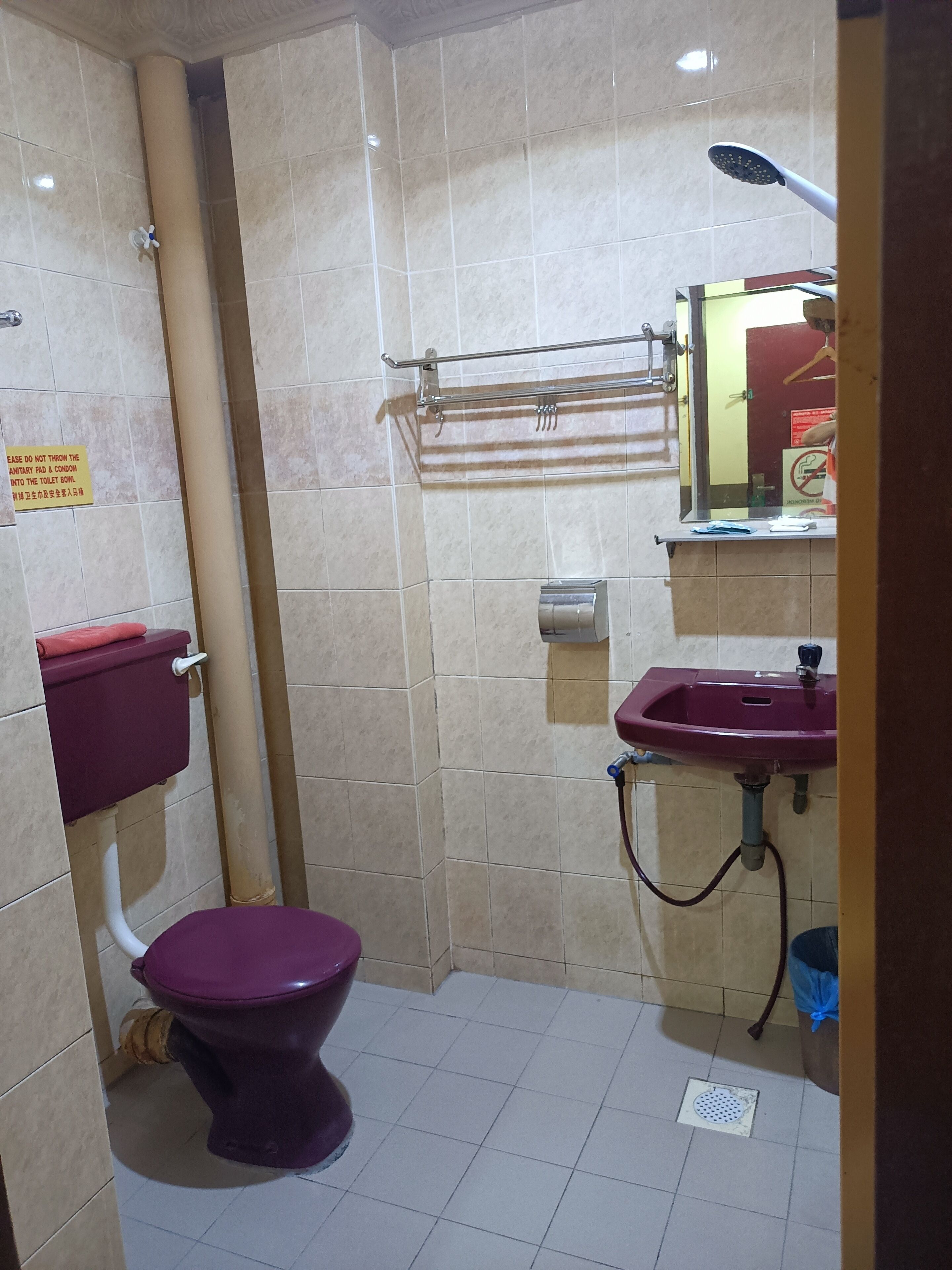 Une salle de bain avec des toilettes, un lavabo et une douche.
