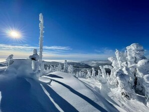 Deportes de invierno y ski