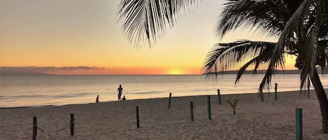 Sun-loungers, beach towels