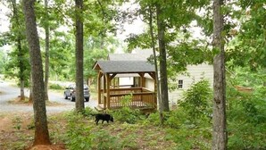 A rustic wooden cabin with a porch, surrounded by dense forest and a dirt path.