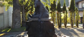 A cozy three bedroom Cottage near Flathead Lake 