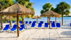 Ein Strand mit Reetdachschirmen, blauen Liegestühlen und Palmen.