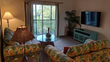 TV, videogiochi, lettore DVD, libri