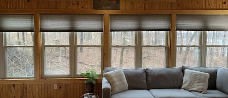 TV, fireplace, DVD player