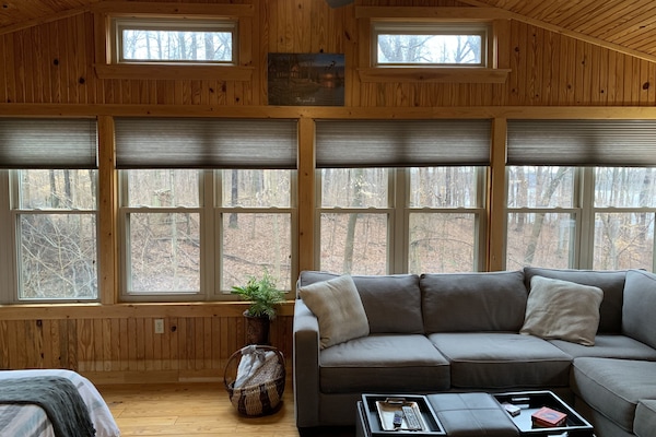 Televisor, llar de foc i reproductor de DVD