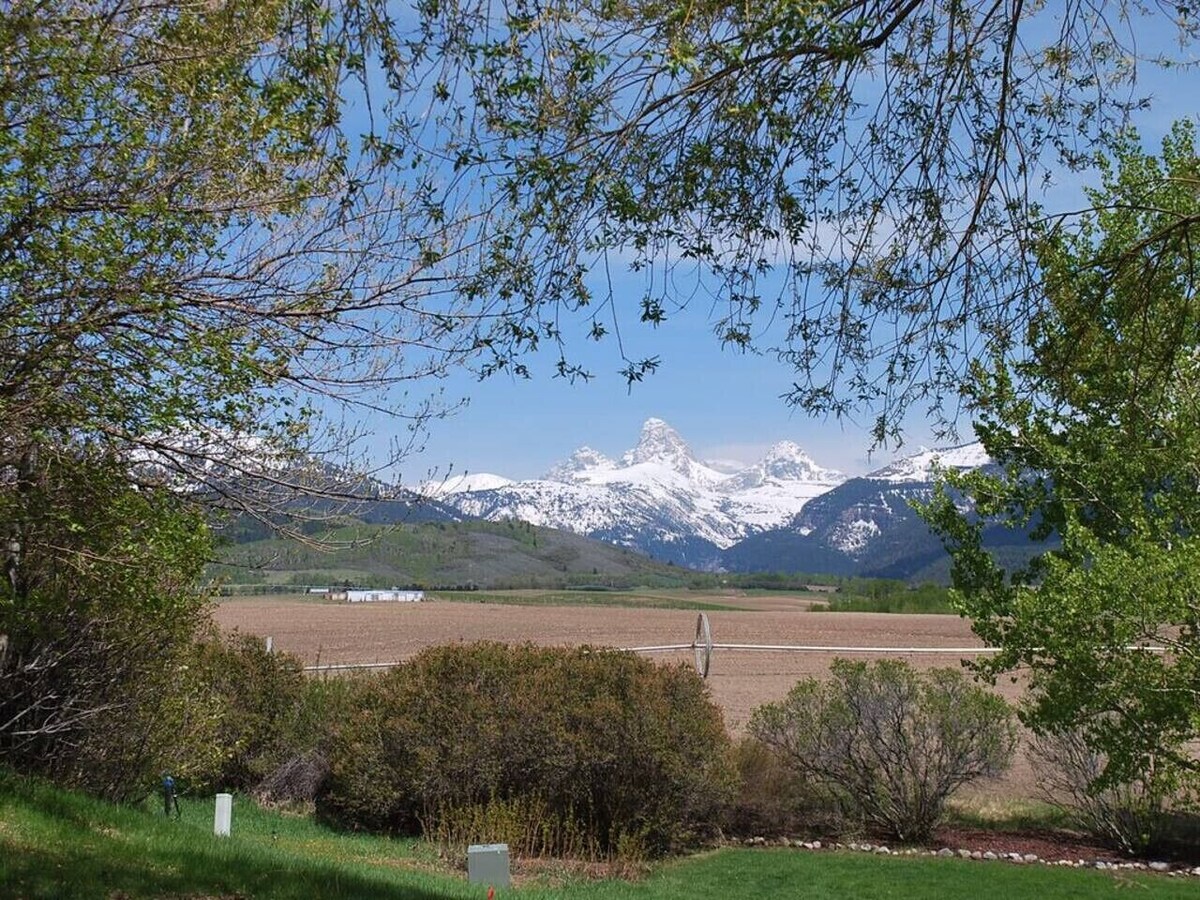 Imagen de perfil del propietario o de la propietaria