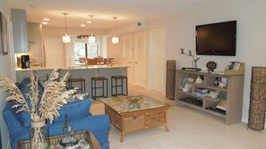 TV, DVD player, books, music library