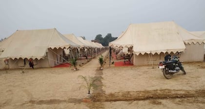 Aplus Swiss Camps