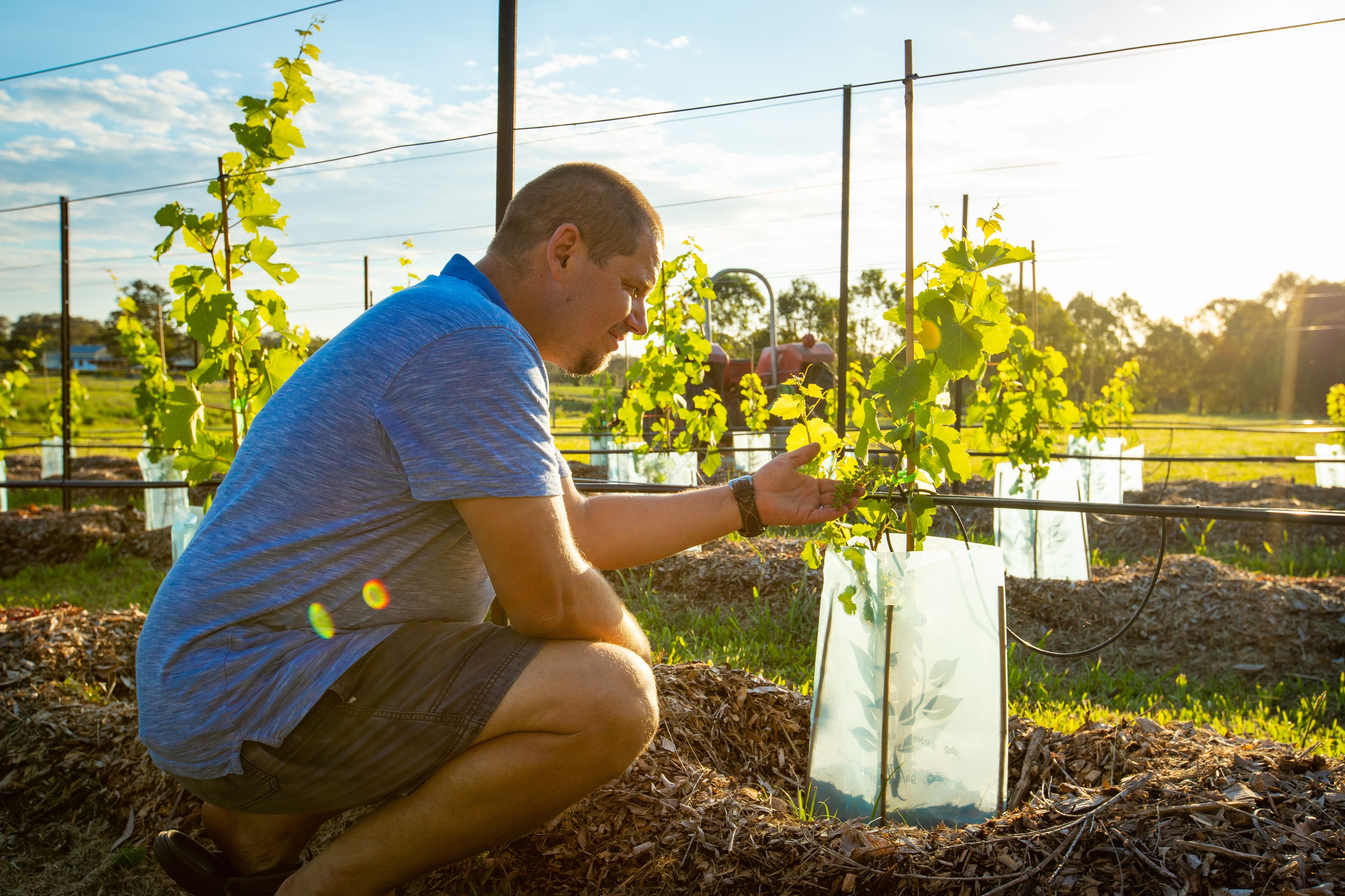 Eine Person kümmert sich um Pflanzen in einem Garten mit erhöhten Blumenbeeten und blauem Himmel.
