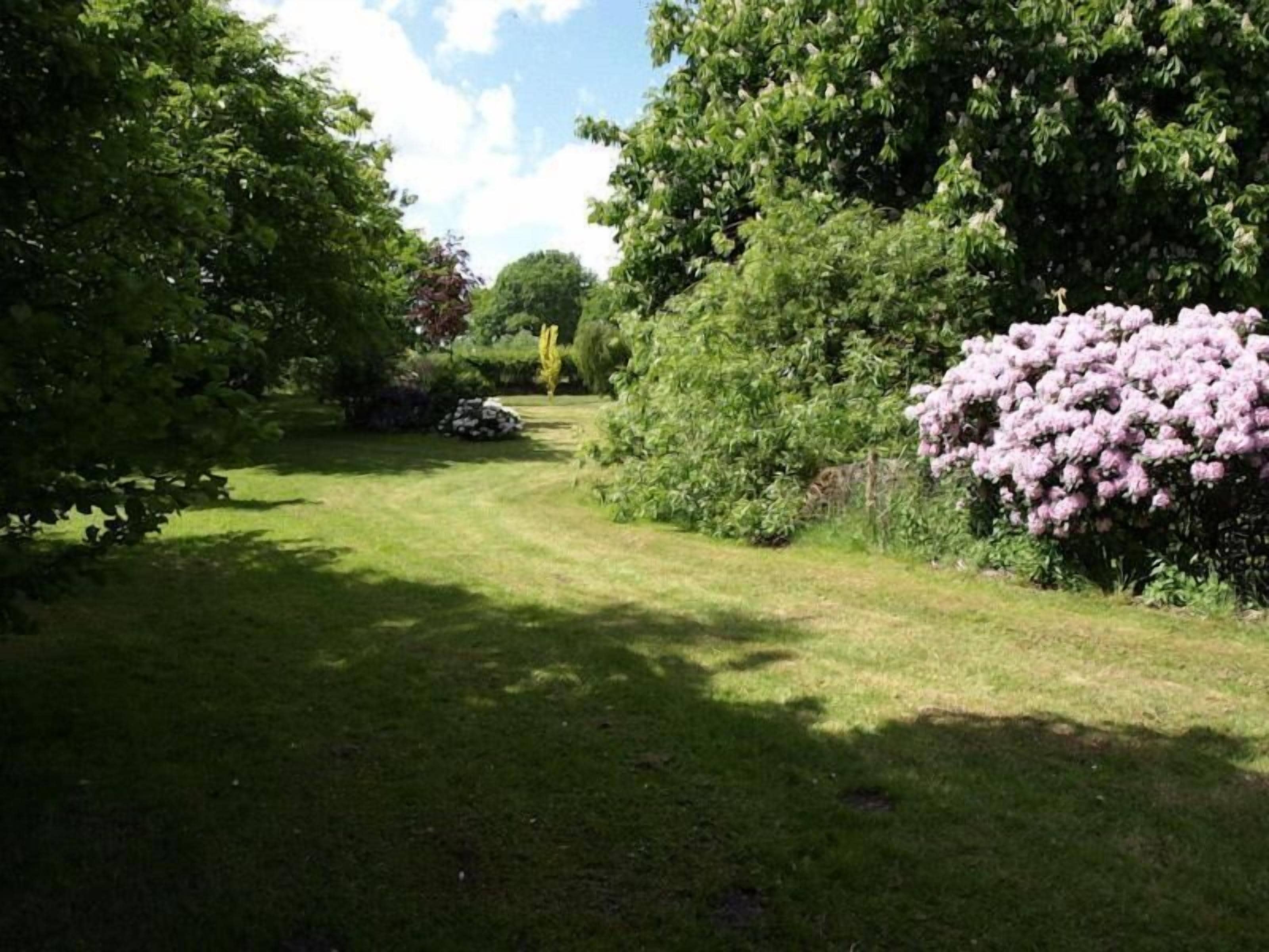 A garden pathway surrounded by lush greenery and flowering bushes.