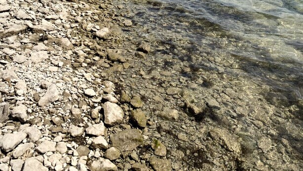 A rocky shoreline with clear water and a tree on the left.