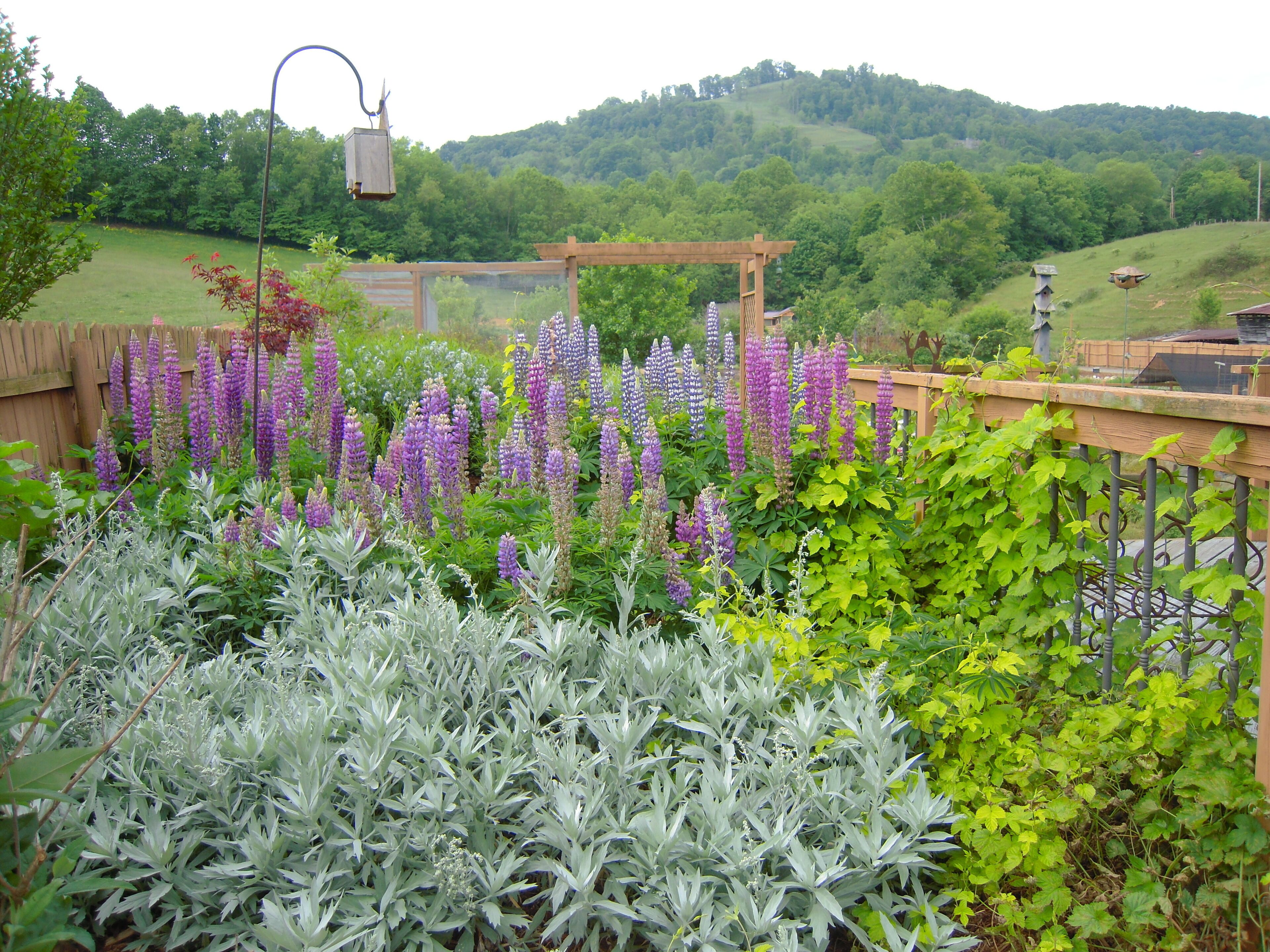 REDUCED!!! SPECIAL NIGHTLY RATE! PRIVATE IN THE COUNTRY! CENTRAL LOCATION!