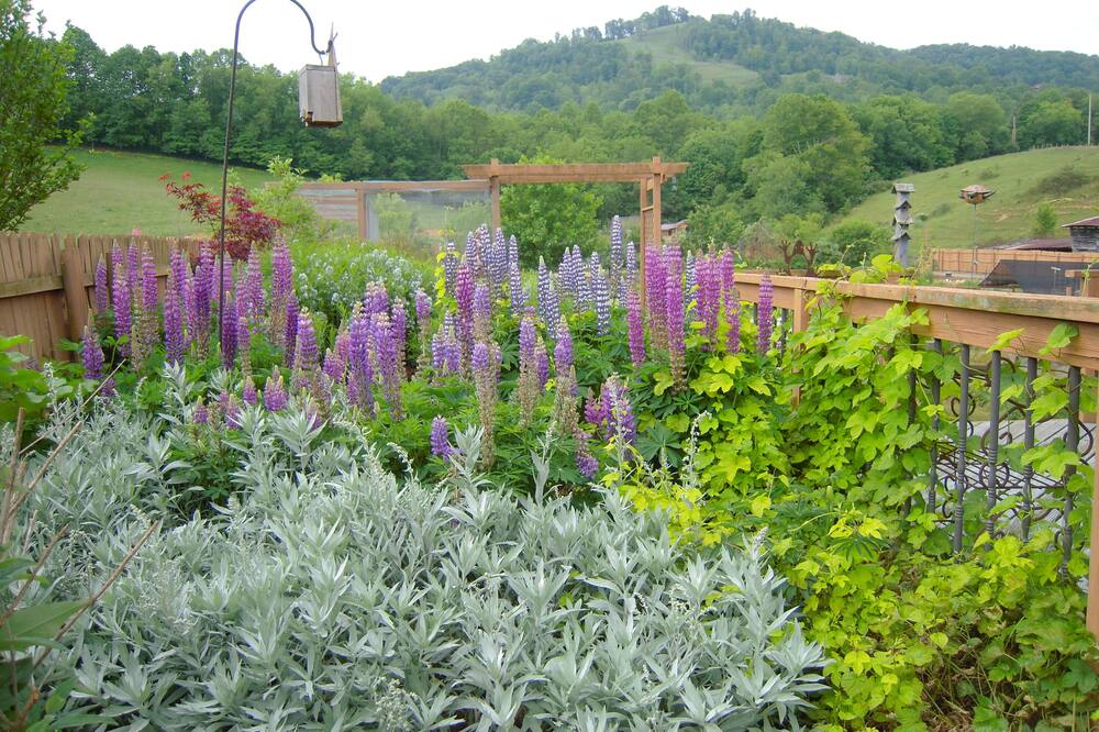 REDUCED!!! SPECIAL NIGHTLY RATE! PRIVATE IN THE COUNTRY! CENTRAL LOCATION!