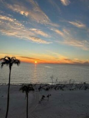 A beach scene with a sunset, palm trees, and a calm sea.