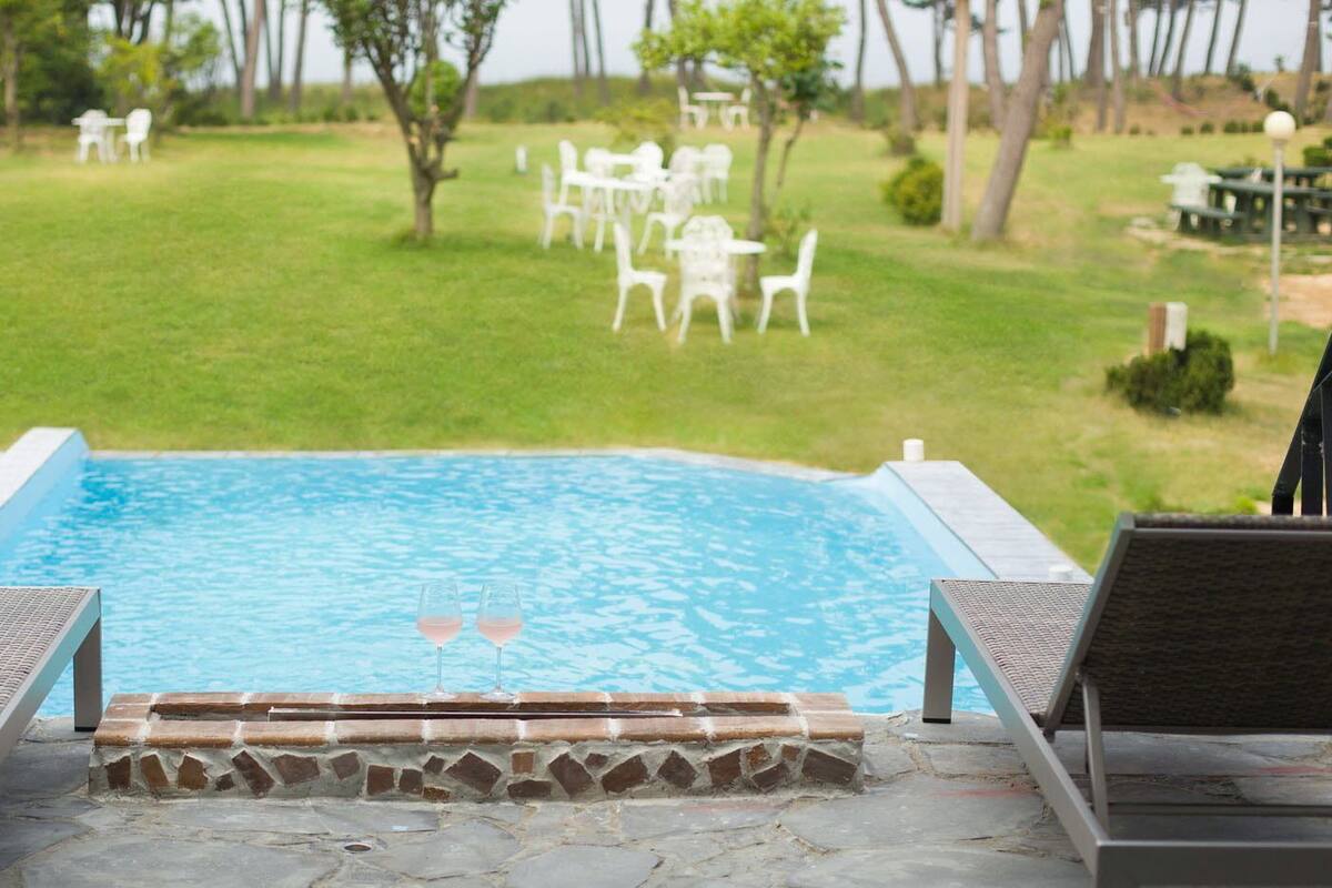 Vista de la piscina con agua azul cristalina, sillas de descanso y un área verde con mesas y sillas al fondo.
