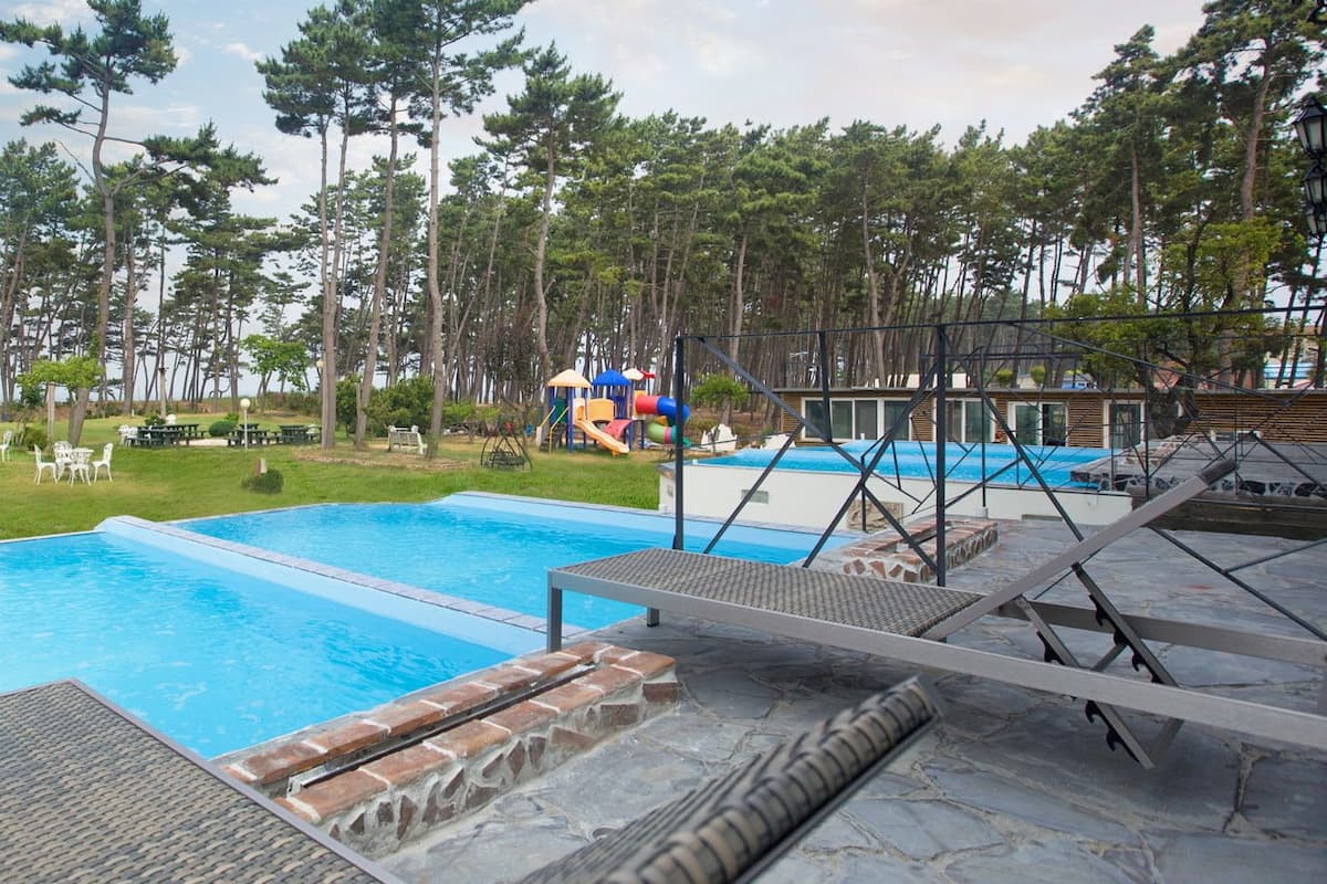 Una piscina con muelle de madera y tobogán, rodeada de árboles y mobiliario exterior.