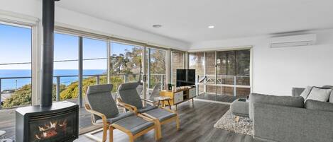 TV, fireplace, DVD player, books
