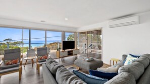 TV, fireplace, DVD player, books