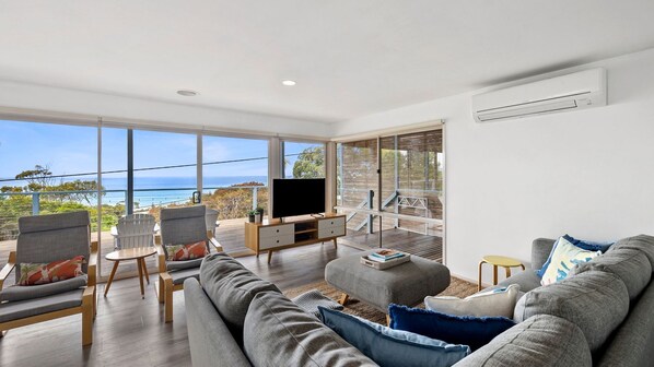 Télévision, cheminée, lecteur de DVD, livres