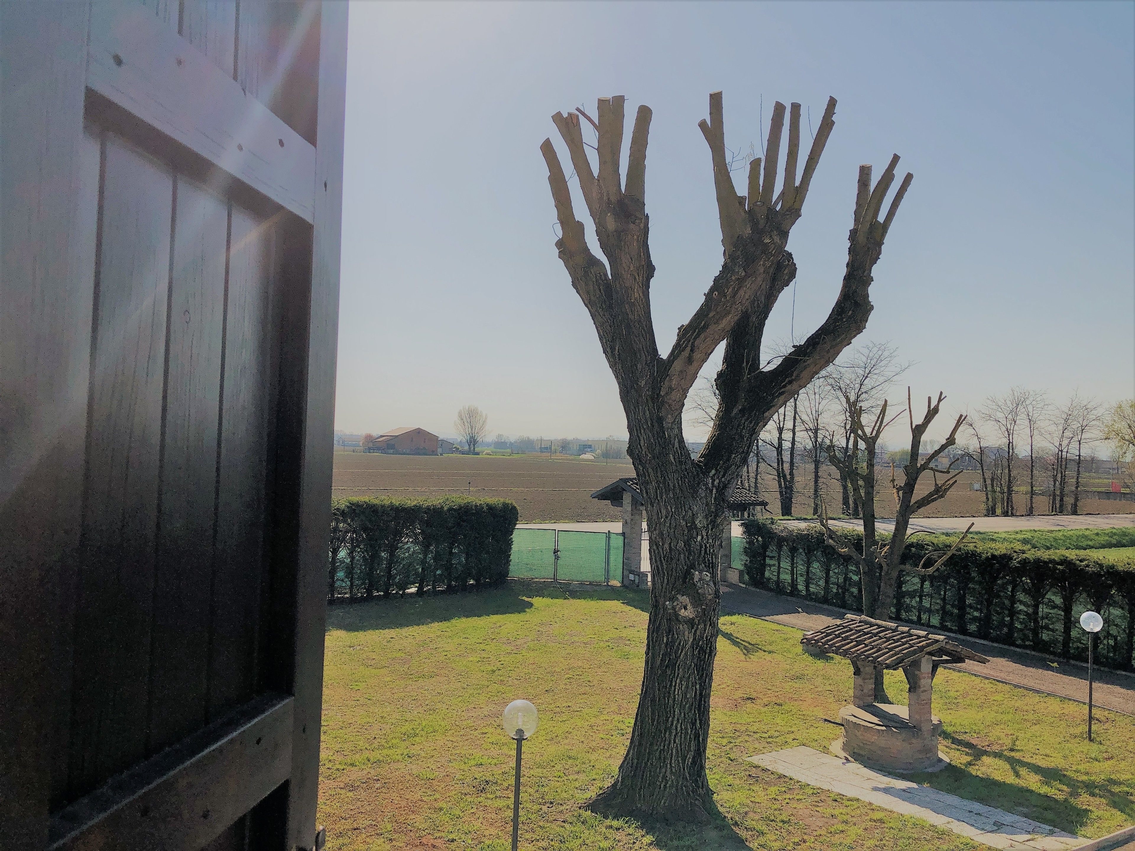 Deluxe-Doppelzimmer, Gartenblick | Blick auf den Garten