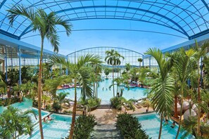 Una piscina interior con múltiples carriles, rodeada de palmeras y un techo de cristal.