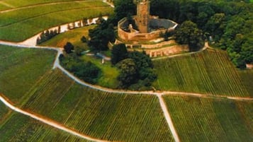 An aerial view of a castle surrounded by fields.