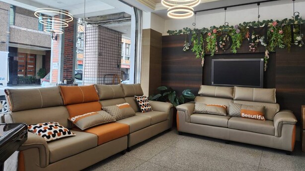 Ein modernes Wohnzimmer mit zwei Sofas, einem Fernseher und Zimmerpflanzen.
