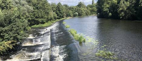 Un río con una represa, rodeado de abundante vegetación y árboles.