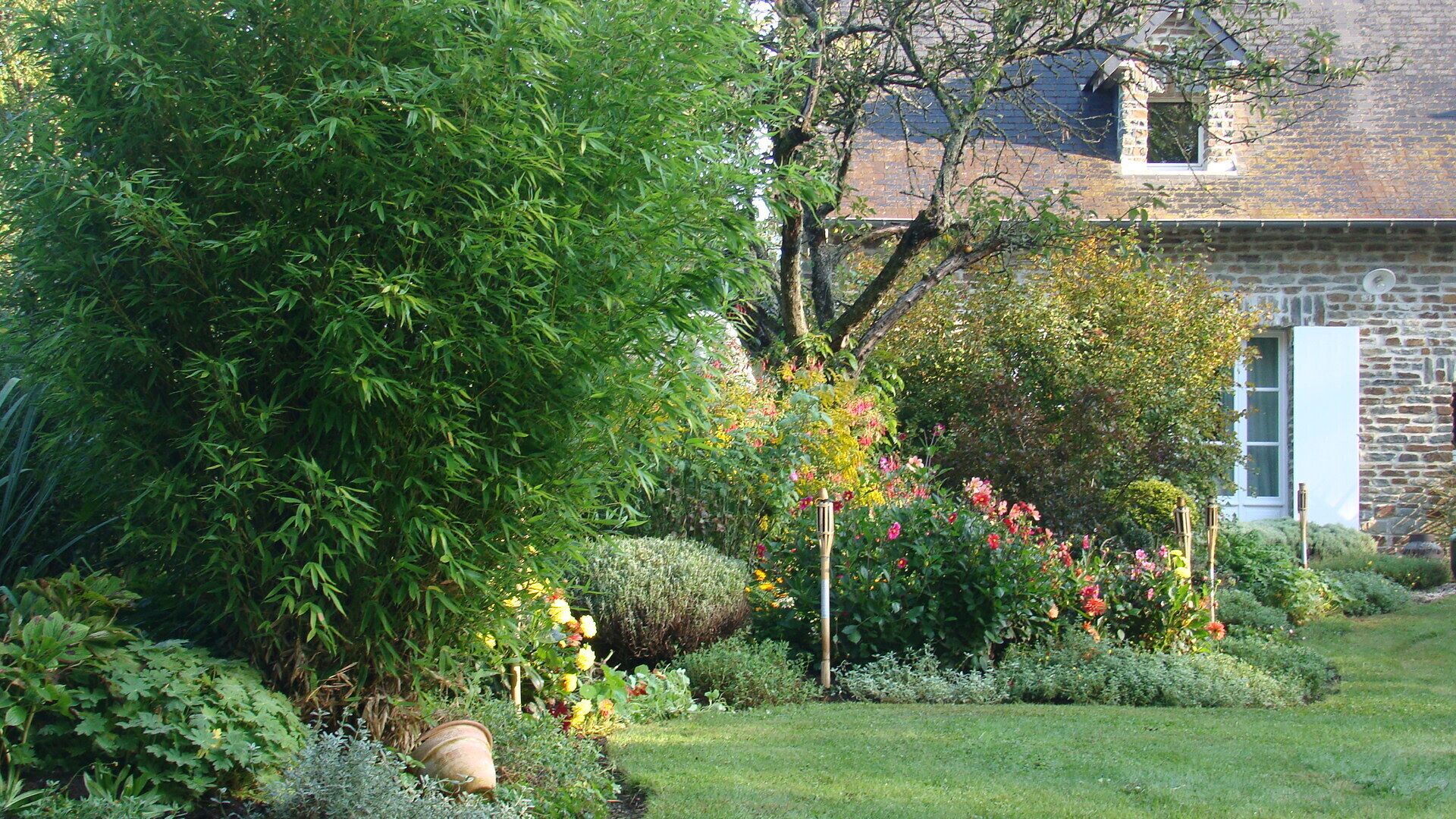Blick auf den Garten