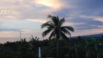 Outdoor pool, open 8:00 AM to 10:00 PM, sun loungers