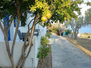 A stone pathway leading to a white building with blue shutters, surrounded by trees and a view of the sea. - Litus Studios Syros (Syros)