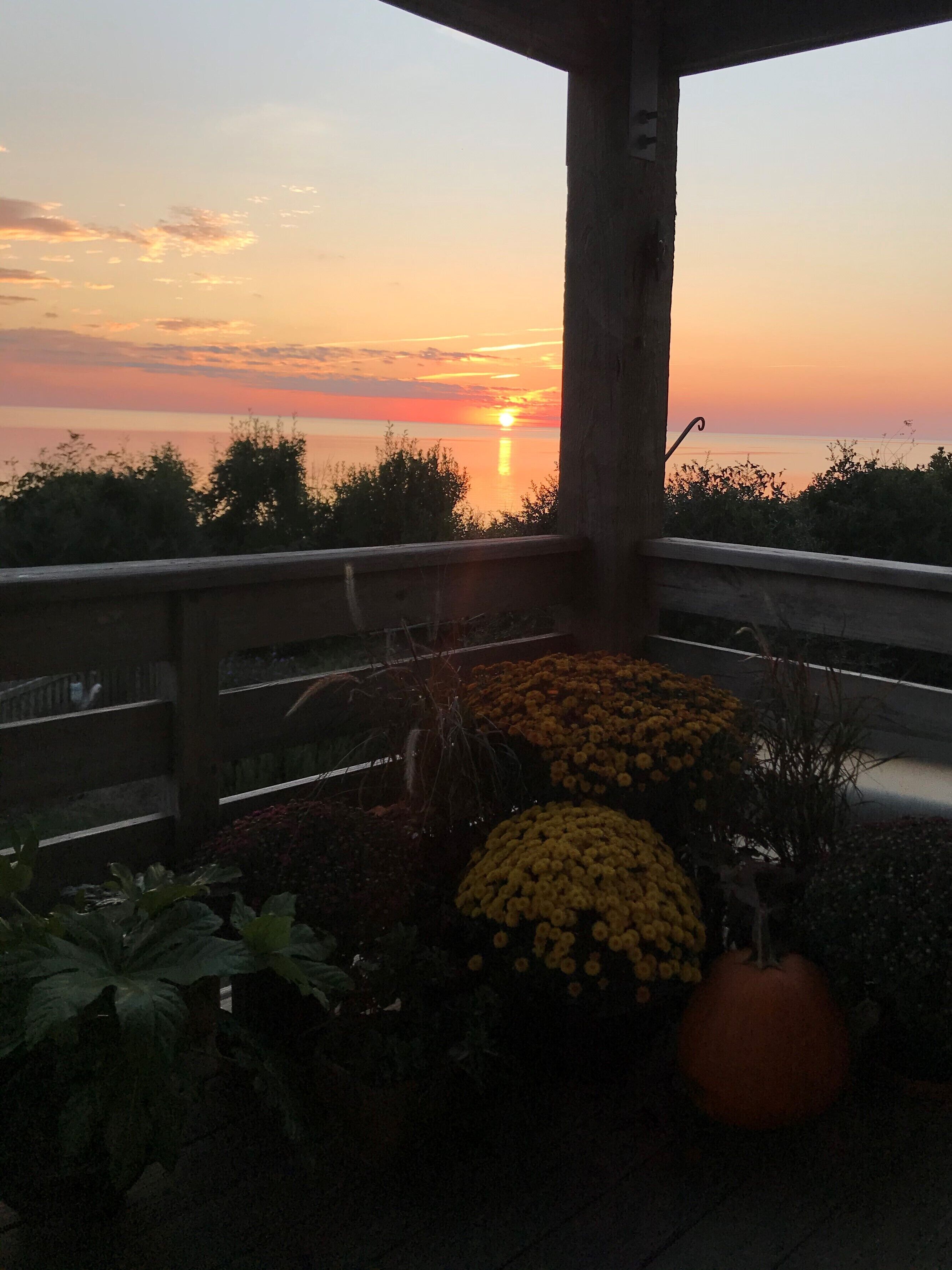 Une vue sur le coucher de soleil depuis un balcon couvert doté d’une balustrade, entouré de plantes et de fleurs en pot.