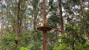 Une zone boisée avec une structure d’escalade en bois.