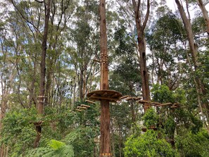 A forested area with a wooden climbing structure. - Sky Loft Coffs · Sky Loft On Bruxner - Korora (Korora)