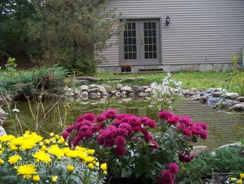 Outside yard view with pond 