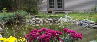 White Mountain Retreat - Family/Pet Friendly- Year Round : Ski areas Close by!