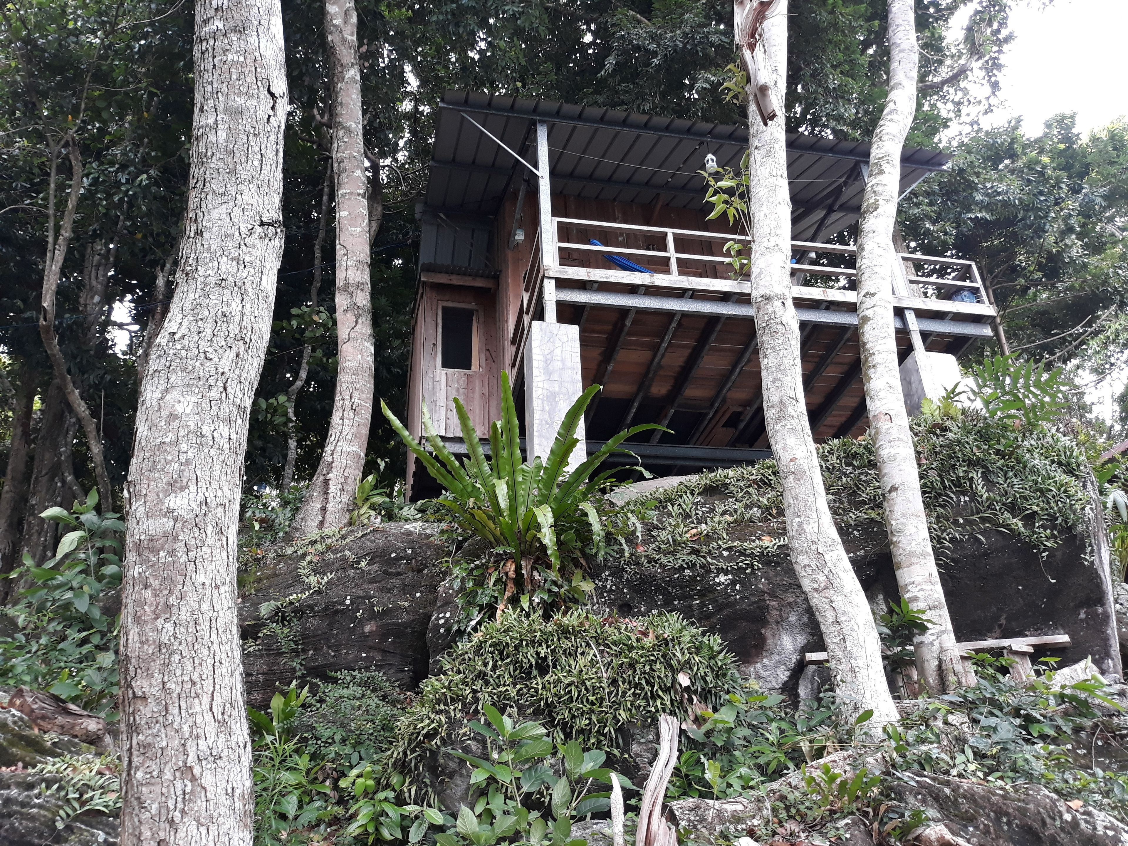 Une cabane rustique en bois, nichée au milieu de grands arbres, avec une structure simple en bois et un toit en métal.