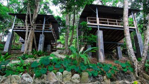 Conjunto de estructuras tipo casa en los árboles, elevadas sobre pilotes, rodeadas de abundante vegetación y muros de piedra.