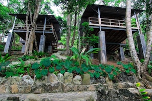 Khuôn viên nơi lưu trú