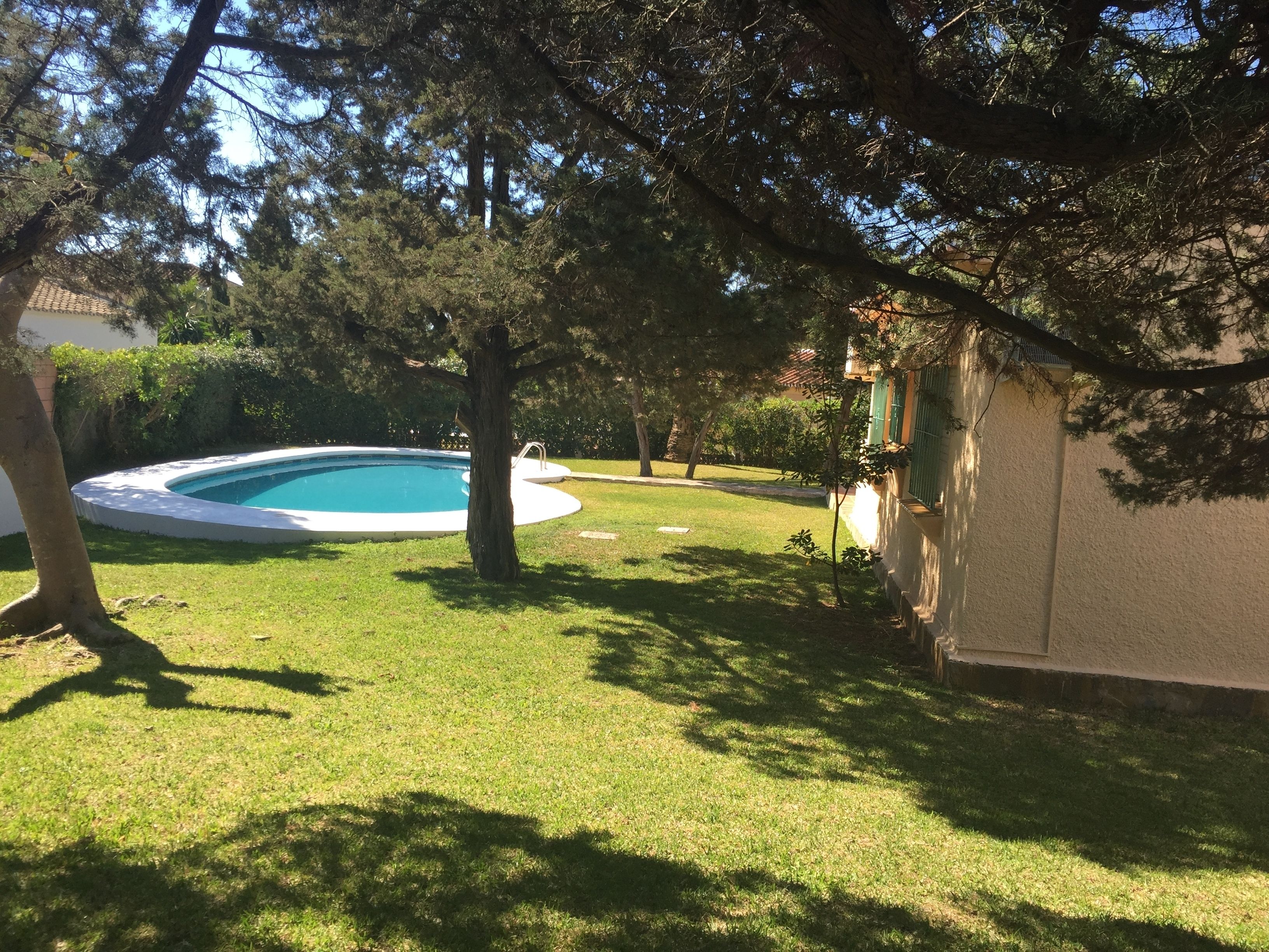 A backyard with a swimming pool, a lawn, and a house.