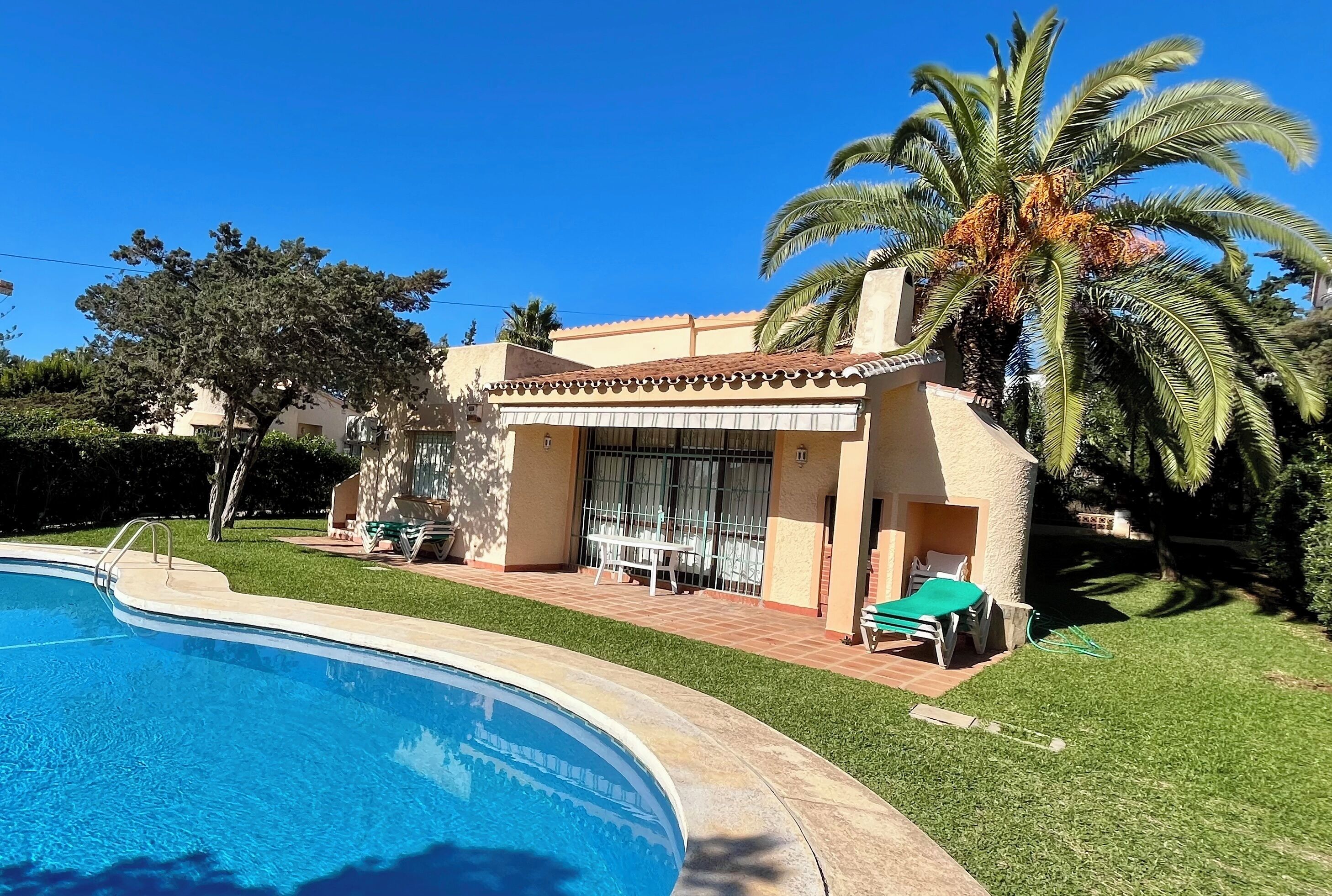Zona de piscina amb una piscina blava cristal·lina, un pati amb taula i cadires, i una palmera.