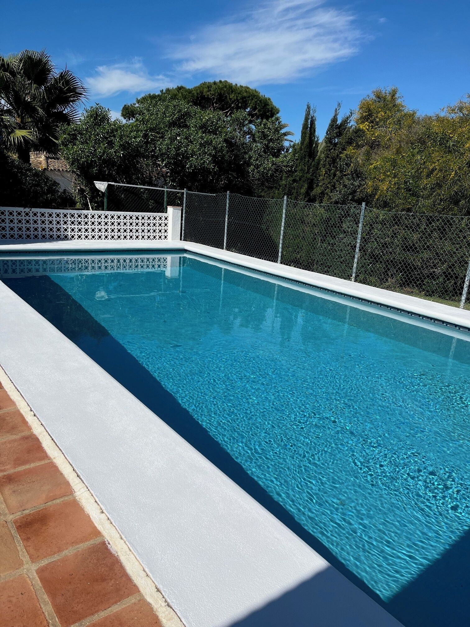 A rectangular swimming pool with clear blue water, surrounded by a white fence and a white lattice fence.