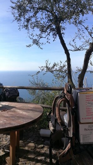 View from property - Agririfugio Molini (Camogli)